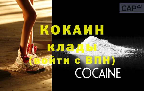 прущие грибы Киров