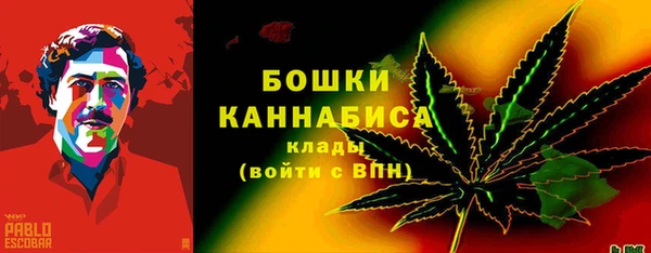 мдпв Богородск