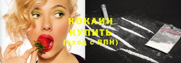 ешки Бронницы