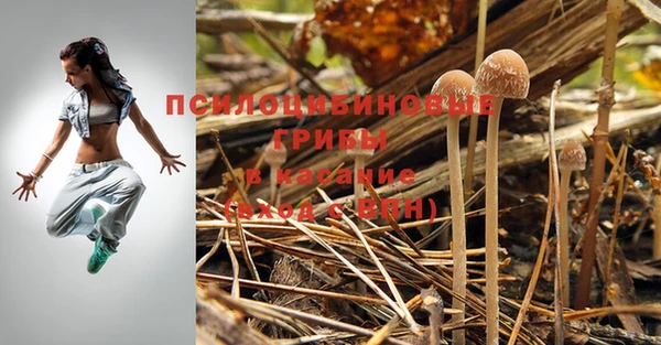 винт Балашиха
