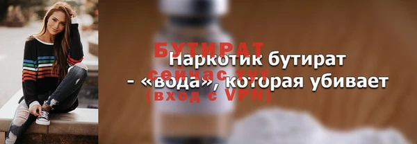 шишки Бородино