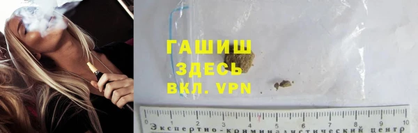 мдпв Богородск