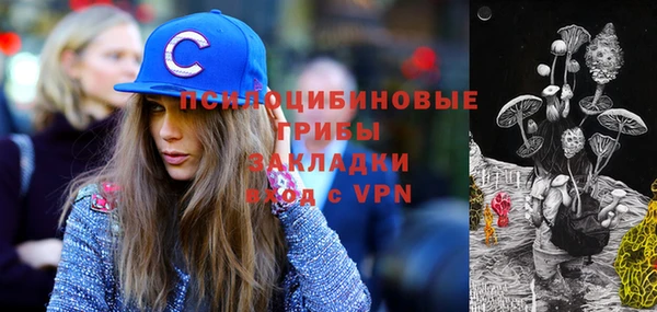 мдпв Богородск