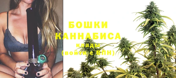 шишки Бородино