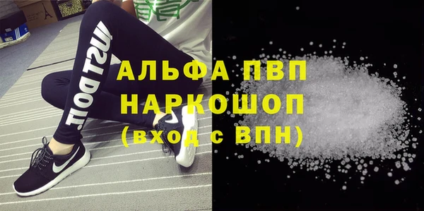 крисы Пенза