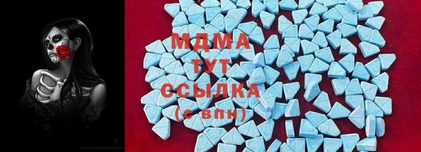 мдпв Богородск