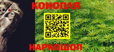 шишки Заволжье