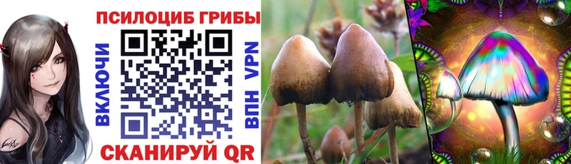 Галлюциногенные грибы MAGIC MUSHROOMS цены наркотик Городец