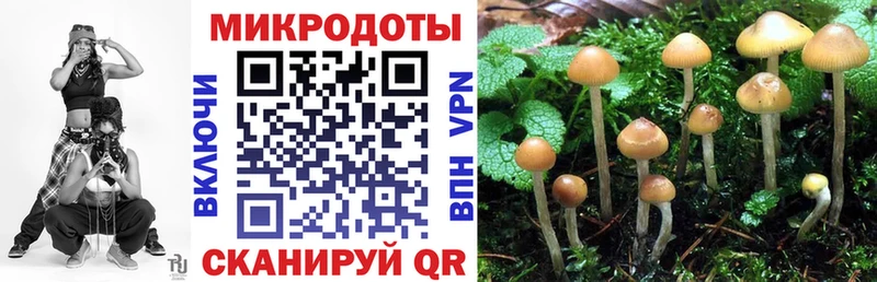 Галлюциногенные грибы мухоморы Городец