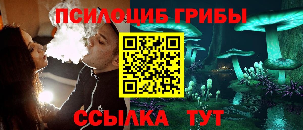Городец  Галлюциногенные грибы ЛСД  Галлюциногенные грибы GOLDEN TEACHER  Вход с VPN 