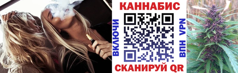 Канабис гибрид  Городец 